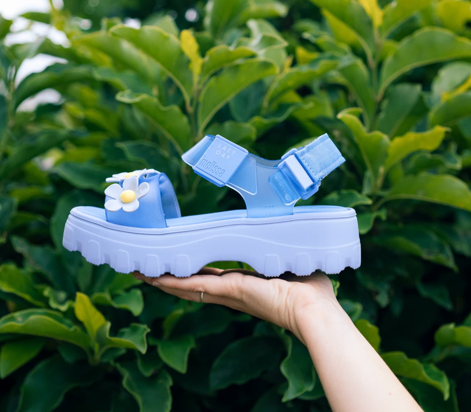 bandi-09135@2x