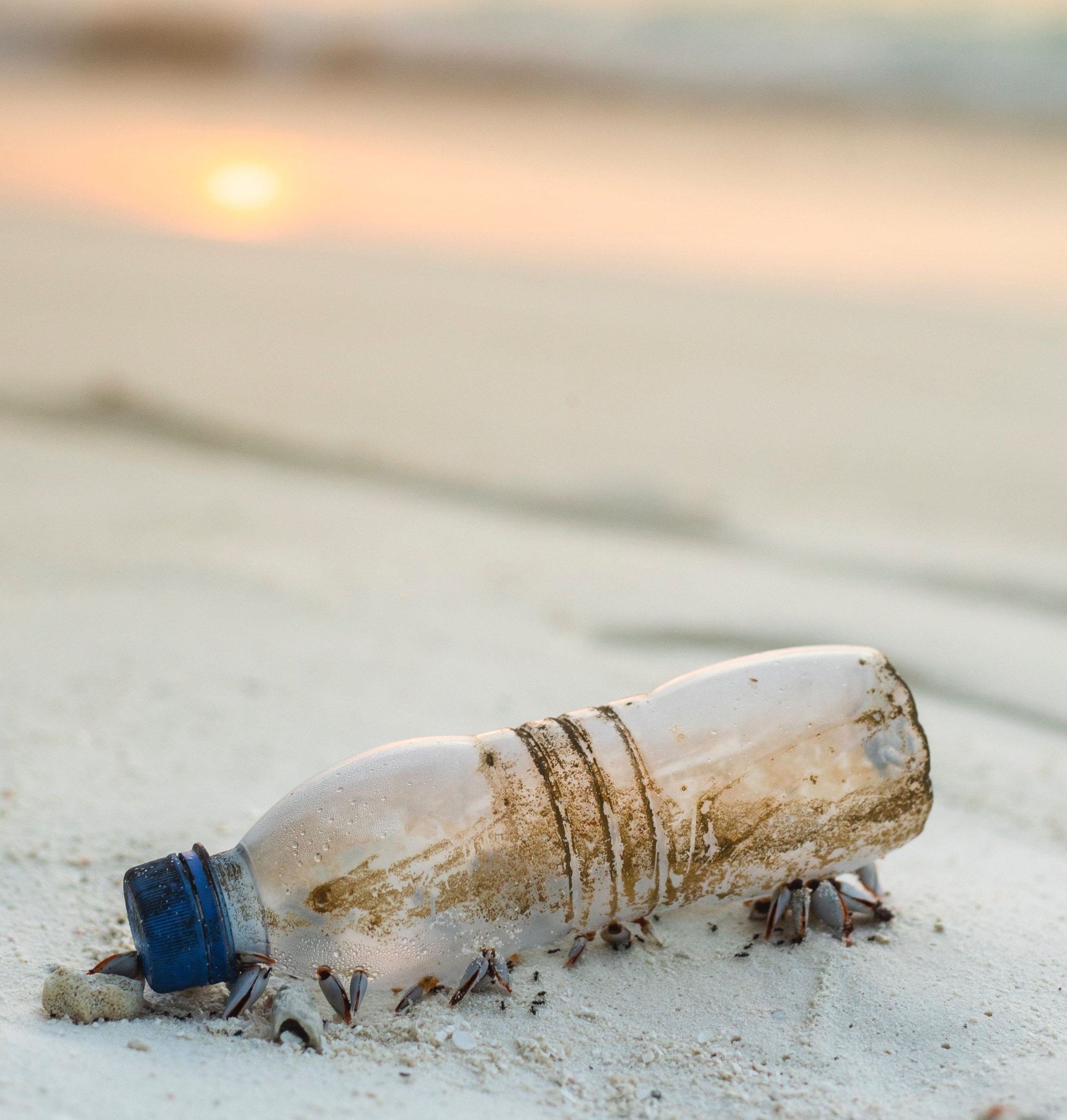 Why We Still Need To Talk About Plastic Pollution